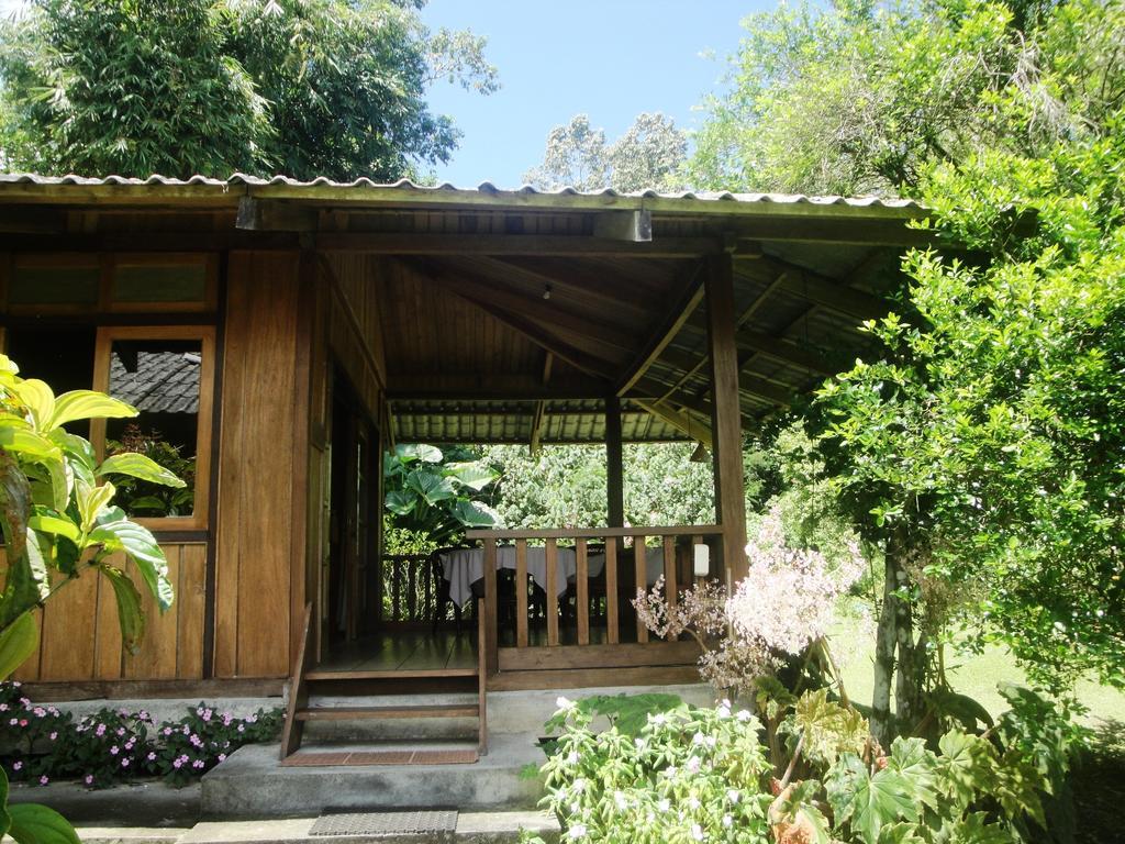Gardenia Country Inn 토모혼 객실 사진